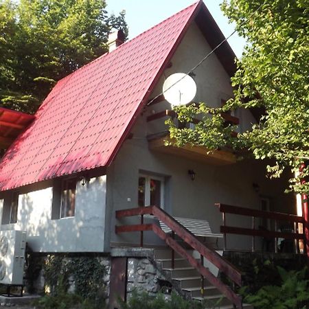 Apartmán Casa De Oaspeti Boga Pietroasa  Exteriér fotografie